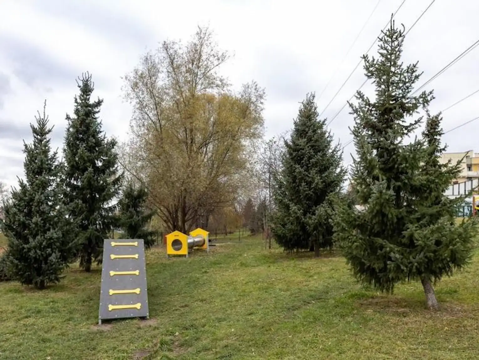 Na Osiedlu Baran Wka W Rzeszowie Powstanie Psi Park