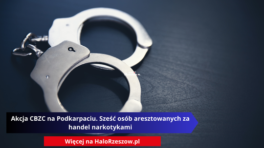 Akcja CBZC na Podkarpaciu. Sześć osób aresztowanych za handel narkotykami