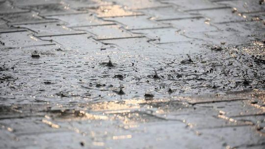 Alert RCB: na Podkarpaciu możliwe burze i silny wiatr