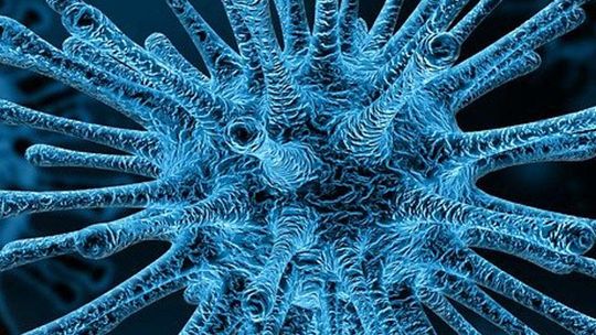 Aż 20 nowych zakażeń koronawirusem na Podkarpaciu
