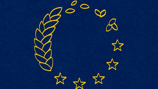 Bezpieczeństwo żywnościowe – za nami V edycja Ogólnopolskiego Konkursu Graficznego Galeria Plakatu Europejskiego.