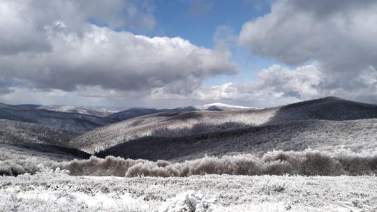 Bieszczady. Dziurkowiec. Ponad 189 ha przyrody pod ochroną, czyli nowy rezerwat na Podkarpaciu