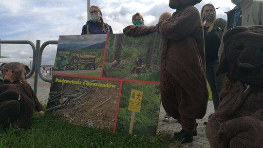 Cała Polska w obronie Puszczy Karpackiej - nie oddamy Bieszczad piłom