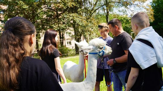 Ciepły posiłek, robotyka i ratunek w kryzysie. Rzeszów po cichu robi coś niesamowitego dla dzieci!