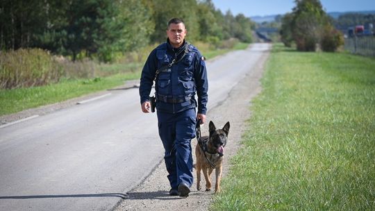 Czworonożni policjanci z Podkarpacia zdali egzamin na szóstkę! [WIDEO]