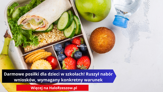 Lunchbox pełen zdrowego jedzenia: wrap z warzywami, truskawki, borówki, krakersy, banan, jabłko oraz babeczka. Na zdjęciu widnieje napis: „Darmowe posiłki dla dzieci w szkołach! Ruszył nabór wniosków, wymagany konkretny warunek"