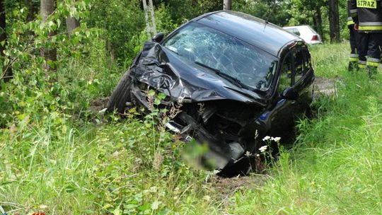 DK 94. Auto zderzyło się z sarną i wjechało do rowu