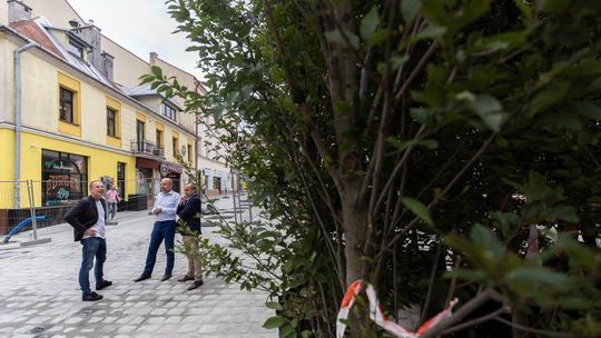 Dobiega końca przebudowa ulicy Grunwaldzkiej. Od wtorku sadzenie drzew