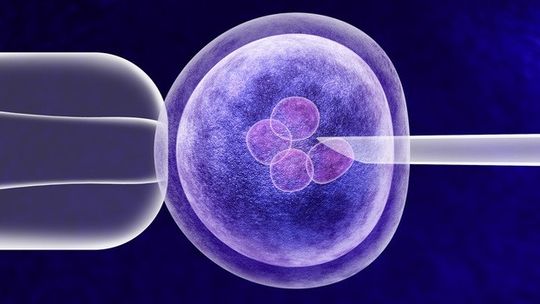 Dofinansowanie do in vitro dla mieszkańców Rzeszowa