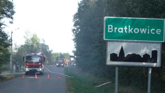 Duży pożar lasu w Bratkowicach! Trudna akcja strażaków [ZDJĘCIA]