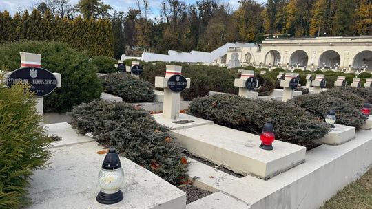 Dziesiątki tysięcy zniczy zapłonęło w akcji Światełko Pamięci dla Cmentarza Łyczakowskiego Dziesiątki tysięcy zniczy zapłonęło w akcji Światełko Pamięci dla Cmentarza Łyczakowskiego