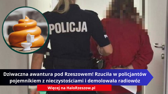 Dziwaczna i groźna awantura pod Rzeszowem! Rzuciła w policjantów pojemnikiem z nieczystościami i demolowała radiowóz
