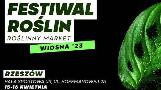 Festiwal Roślin w Rzeszowie - wielki market roślin