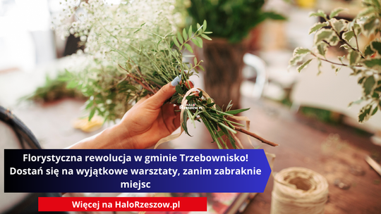 Baner z tekstem o warsztatach florystycznych w gminie Trzebownisko. W tle zdjęcie rąk układających bukiet z gipsówki na drewnianym stole. Adres strony: HaloRzeszow.pl.