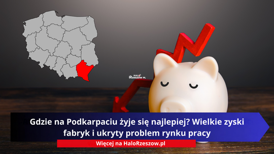 Gdzie na Podkarpaciu żyje się najlepiej? Wielkie zyski fabryk i ukryty problem rynku pracy