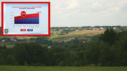 Gospodarczy sukces Powiatu Rzeszowskiego? W regionie przybywa firm