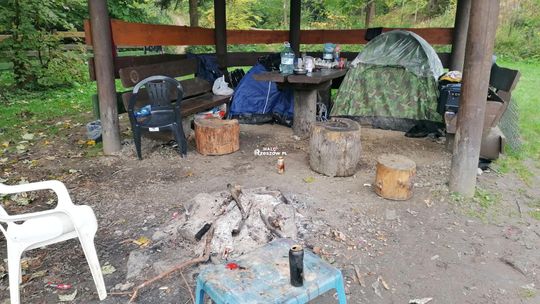 Grzybiarze z Rumunii w podkarpackich lasach. Leśnicy nie potwierdzają doniesień o groźbach