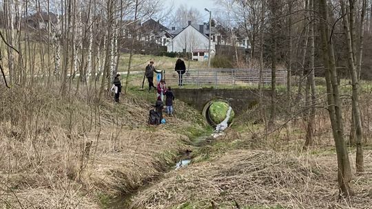 Harcerze wysprzątali źródła rzeki Mikośki