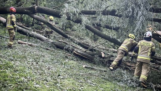 Interwencje strażaków i zerwane linie energetyczne po dwugodzinnej burzy