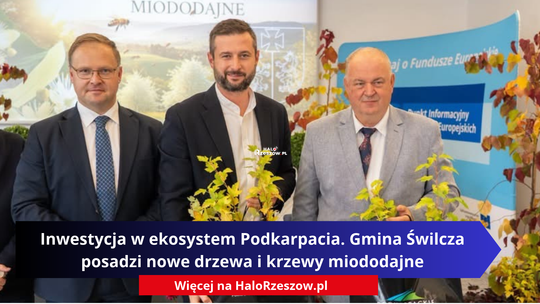 Inwestycja w ekosystem Podkarpacia. Gmina Świlcza posadzi nowe drzewa i krzewy miododajne