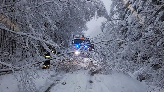 Jeszcze 2,5 tys. odbiorców na Podkarpaciu nie ma prądu