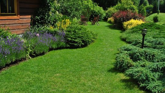 Kiedy najlepiej wapnować trawnik – jesienią czy wiosną?