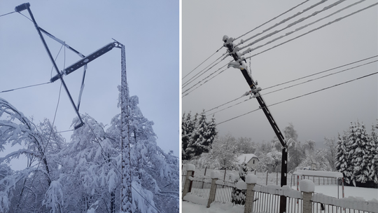 Klęska śniegowa na Podkarpaciu: tysiące odbiorców bez prądu. Wyjaśniamy jak zgłaszać awarie z PGE Dystrybucja