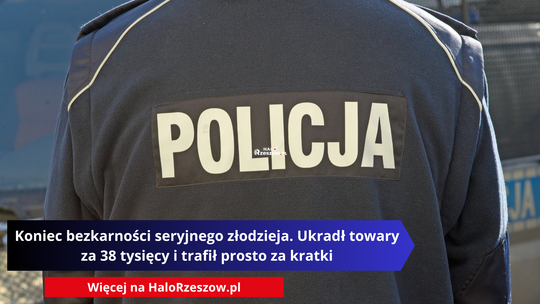 Zdjecie pleców funkcjonariusza policji w granatowej kurtce z dużym napisem POLICJA