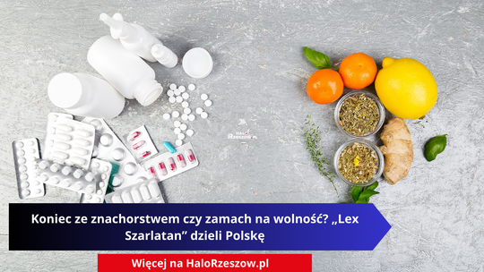 Na jasnoszarym tle, znajdują się medykamenty konwencjonalne: białe butelki apteczne, spray do nosa, rozsypane białe tabletki oraz liczne blistry z pigułkami (w tym różowymi i niebieskimi). Obok znajdują się naturalne produkty: dwie miseczki z suszonymi ziołami i herbatą, korzeń imbiru,