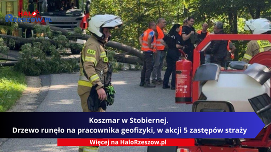 Drzewo runęło na pracownika geofizyki w Stobiernej.
