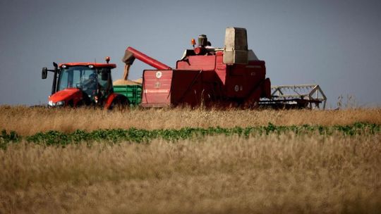 KOWR: tegoroczne plony zbóż mogą być wyższe niż w 2021 r.