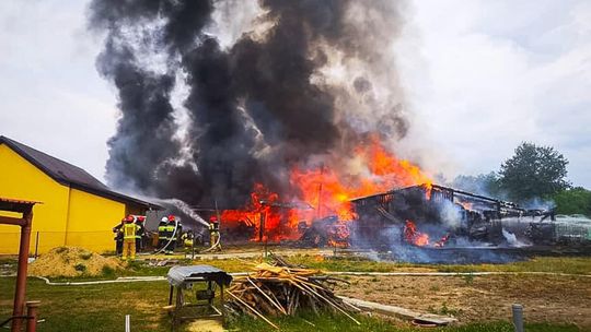 Kozodrza. Pożar budynków gospodarczych