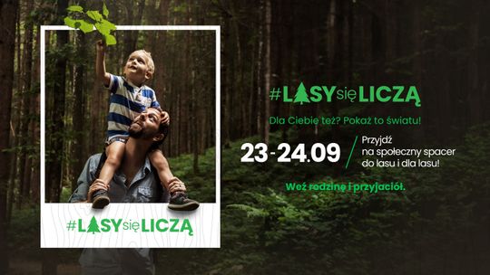 #LasySięliczą. W weekend ogólnopolska akcja społeczników ws. przyszłości lasów