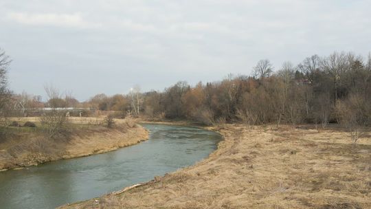 Lewy brzeg Wisłoka wyłącznie pod zieleń i rekreację?