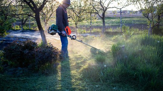 Maszyny ogrodnicze - klucz do pięknego i zdrowego ogrodu