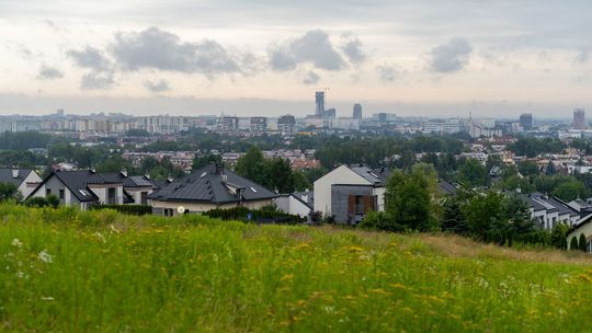 Miasto ma pomysł. Na Zalesiu powstanie park dendrologiczny