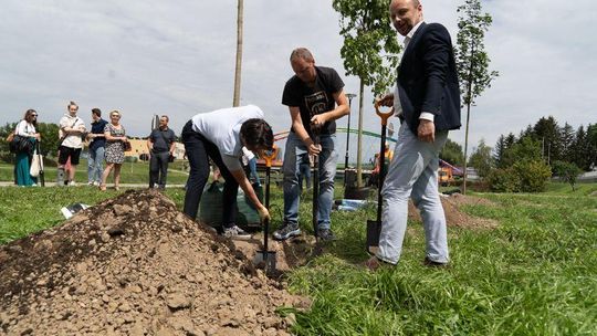 Młodzi mieszkańcy Rzeszowa zasadzili drzewa w pobliżu Wisłoka [FOTO]