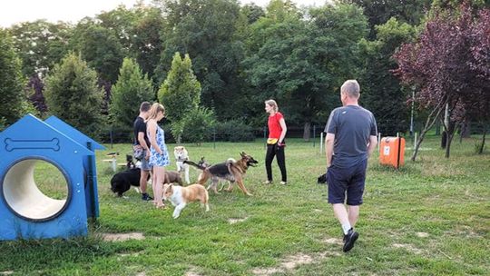 Na os. Baranówka w Rzeszowie powstanie psi park