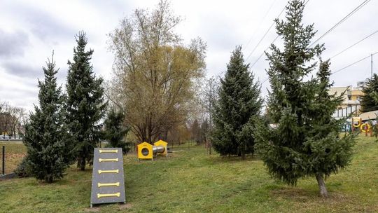 Na osiedlu Baranówka w Rzeszowie powstanie psi park