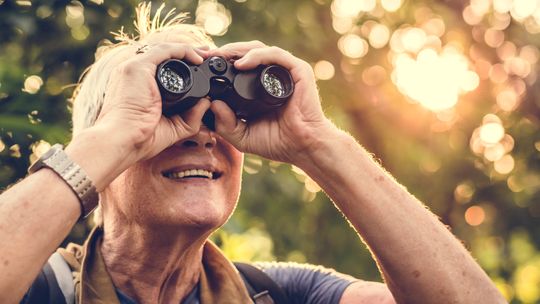 "Na wypadek" 25-latka obierała pieniądze od seniorki