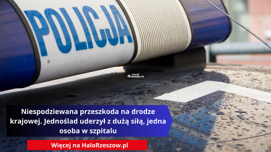 Niespodziewana przeszkoda na drodze krajowej. Jednoślad uderzył z dużą siłą, jedna osoba w szpitalu
