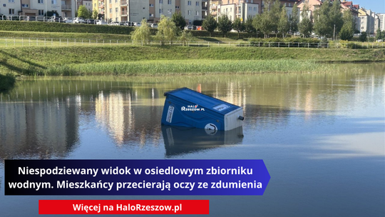 Niespodziewany widok w osiedlowym zbiorniku wodnym. Mieszkańcy przecierają oczy ze zdumienia