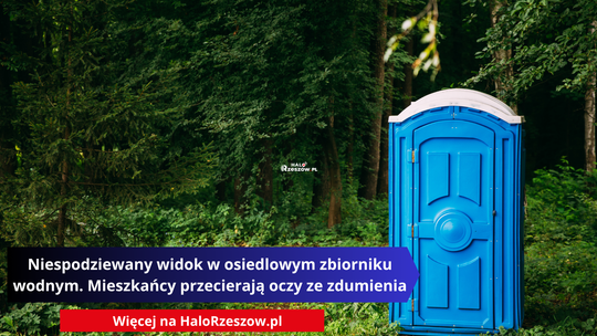 Niespodziewany widok w osiedlowym zbiorniku wodnym. Mieszkańcy przecierają oczy ze zdumienia