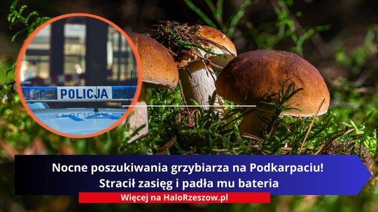 Nocne poszukiwania grzybiarza na Podkarpaciu! Stracił zasięg i padła mu bateria