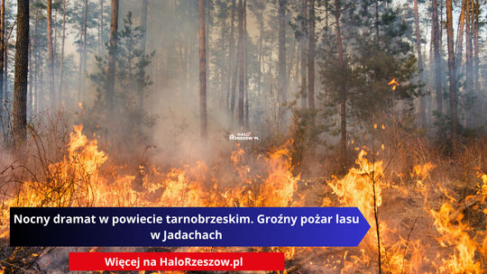 Nocny dramat w powiecie tarnobrzeskim. Groźny pożar lasu w Jadachach
