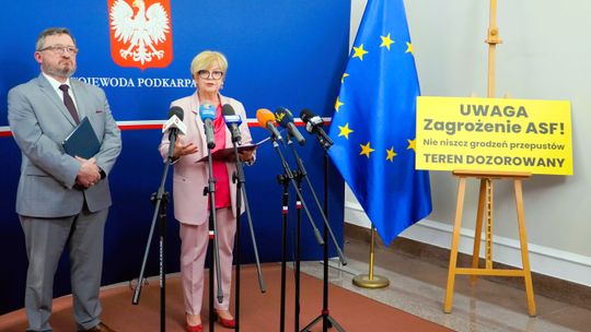 Nowe ognisko ASF pod Rzeszowem! Wirus wykryty przy A4 i S19 w gminie Trzebownisko [RAPORT]