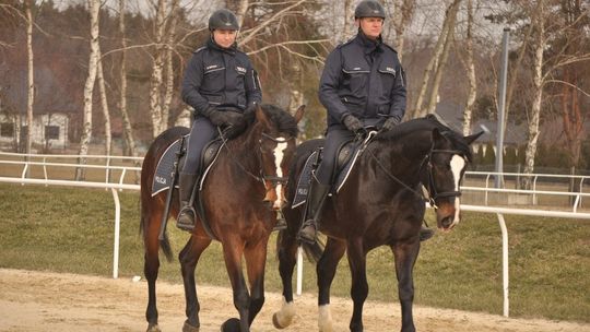 Wag i Bary dołączają do podkarpackiej policji konnej [FOTO]