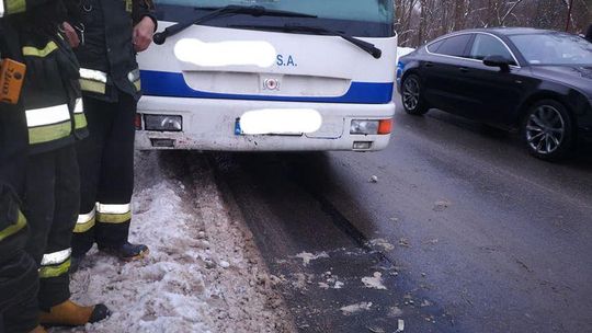 Nowy Borek. Zderzenie autobusu z osobówką