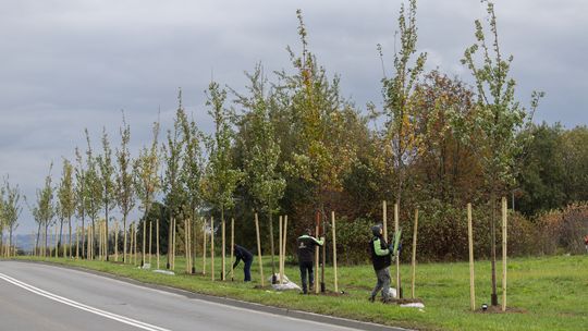 Nowy park kieszonkowy przy ul. Bydgoskiej w Rzeszowie