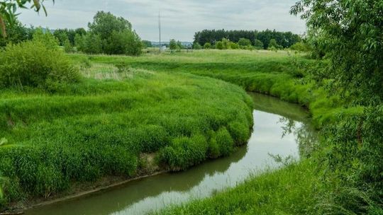 Ochrona Białej, Budziwoja oraz Matysówki przed powodziami. Co z tym zrobić?